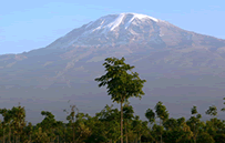 Kilimanjaro