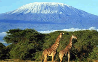 Mount Kilimanjaro