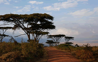 Olduvai Camp